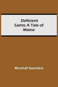 bokomslag Deficient Saints A Tale Of Maine