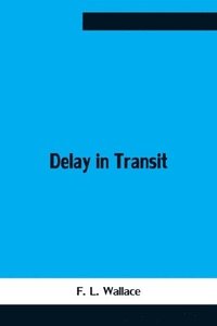 bokomslag Delay In Transit