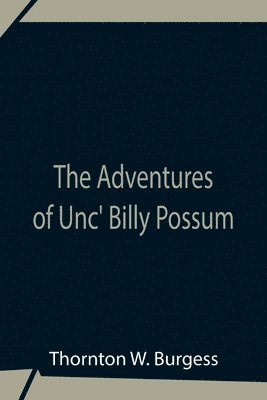 bokomslag The Adventures Of Unc' Billy Possum