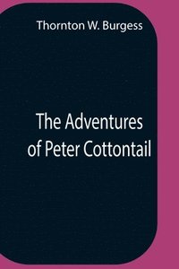 bokomslag Adventures Of Peter Cottontail