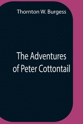 The Adventures Of Peter Cottontail 1