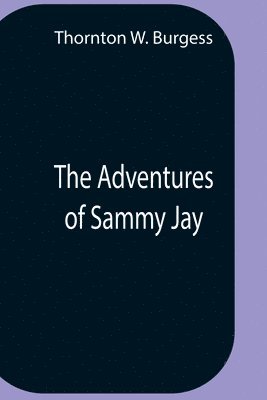 The Adventures Of Sammy Jay 1