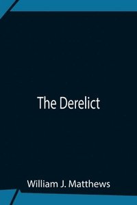 bokomslag The Derelict