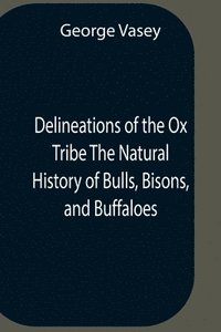 bokomslag Delineations Of The Ox Tribe The Natural History Of Bulls, Bisons, And Buffaloes. Exhibiting All The Known Species And The More Remarkable Varieties Of The Genus Bos.