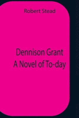 bokomslag Dennison Grant A Novel Of To-Day