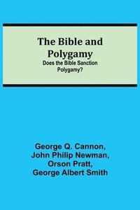 bokomslag The Bible and Polygamy