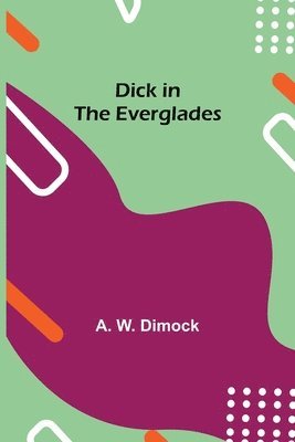 Dick in the Everglades 1