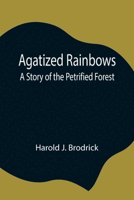 bokomslag Agatized Rainbows