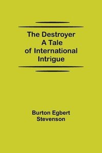 bokomslag Destroyer A Tale of International Intrigue