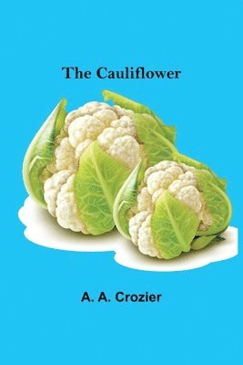 The Cauliflower 1