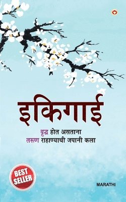 Ikigai in Marathi 1