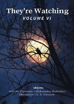 E. S. Gleason, Aleksandar Kabishev, Alfredo Figueroa, Aleksandar Kabishev - They'Re Watching Volume vi, Häftad