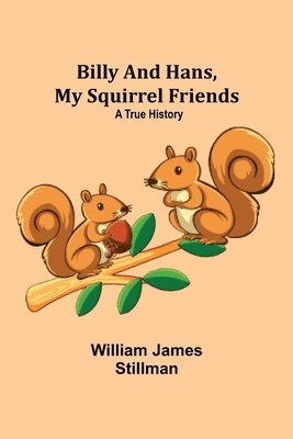 William James Stillman - Billy and Hans, My Squirrel Friends, Häftad