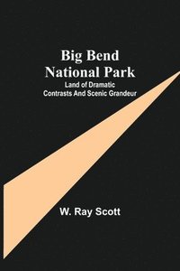 bokomslag Big Bend National Park