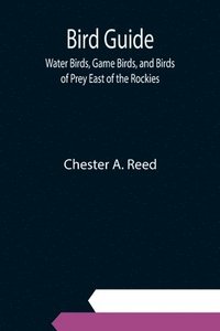 bokomslag Bird Guide; Water Birds, Game Birds, and Birds of Prey East of the Rockies