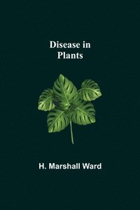 bokomslag Disease in Plants