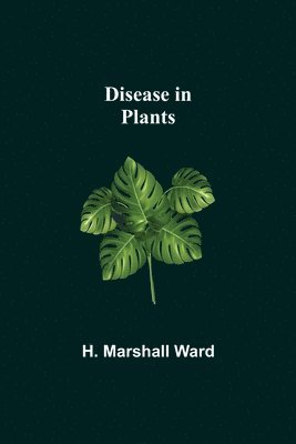 bokomslag Disease in Plants