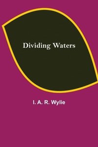 bokomslag Dividing Waters