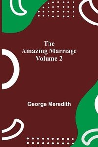 bokomslag Amazing Marriage - Volume 2