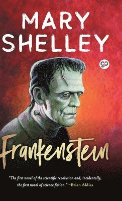 bokomslag Frankenstein