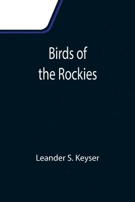 Birds of the Rockies 1