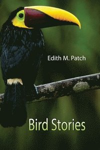 bokomslag Bird Stories