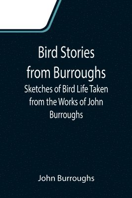 bokomslag Bird Stories from Burroughs; Sketches of Bird Life Taken from the Works of John Burroughs