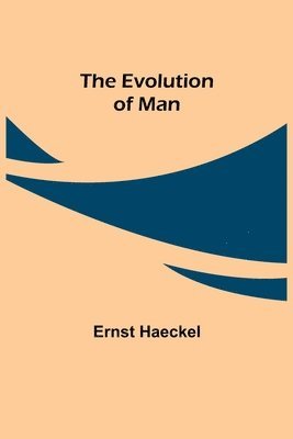 Ernst Haeckel - Evolution of Man, Häftad