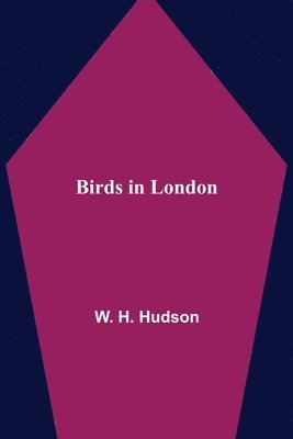 bokomslag Birds in London
