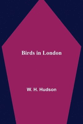 Birds in London 1