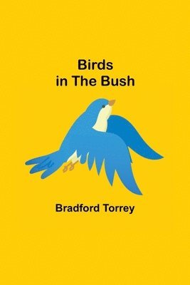 Birds in the Bush 1