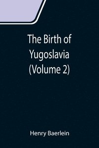 bokomslag Birth of Yugoslavia (Volume 2)