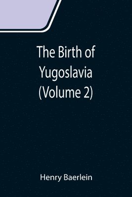 bokomslag Birth of Yugoslavia (Volume 2)