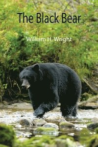 bokomslag The Black Bear