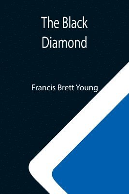 Francis Brett Young - Black Diamond, Häftad