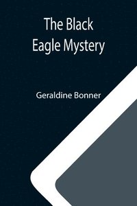 bokomslag Black Eagle Mystery