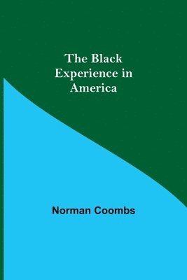 bokomslag Black Experience in America
