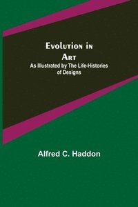 bokomslag Evolution in Art