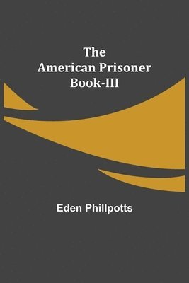 bokomslag American Prisoner Book-III