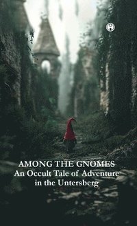 bokomslag AMONG THE GNOMES An Occult Tale of Adventure in the Untersberg