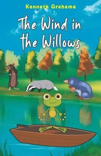 bokomslag Wind in the Willows