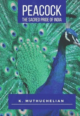 Peacock the Sacred Pride of India 1