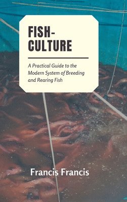 Fish Culture