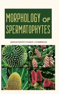bokomslag Morphology of Spermatophytes