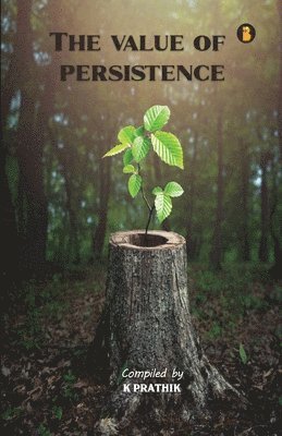 bokomslag Value Of Persistence