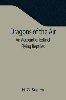 Dragons of the Air 1