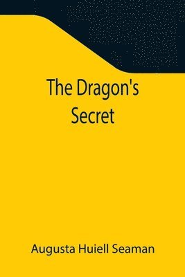 bokomslag Dragon's Secret