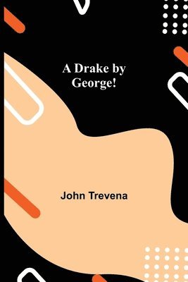 bokomslag Drake by George!