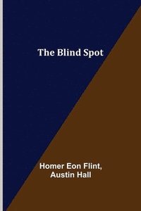 bokomslag The Blind Spot