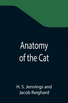 Anatomy of the Cat 1